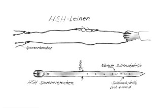 HSH-Leinen-Sollbruchstellen