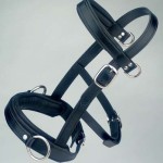 HSH schooling bridle